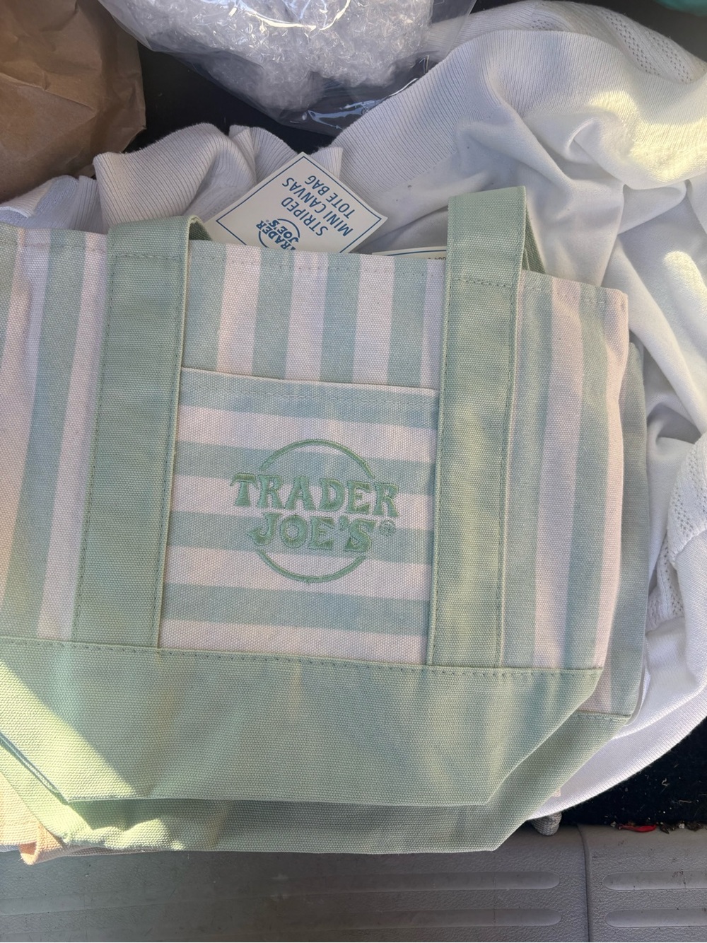 Trader Joe's Mint Green Striped mini Tote Bag